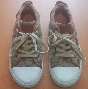 Coach Shoes (Size 6)